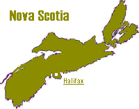 ns.gif (3786 bytes)